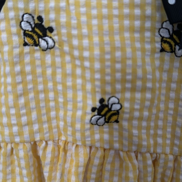Bumblebee Dress - Picture 4 of 5